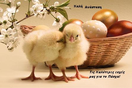 KALH ANASTASH